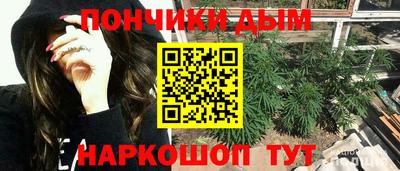 гидропоника Пугачёв