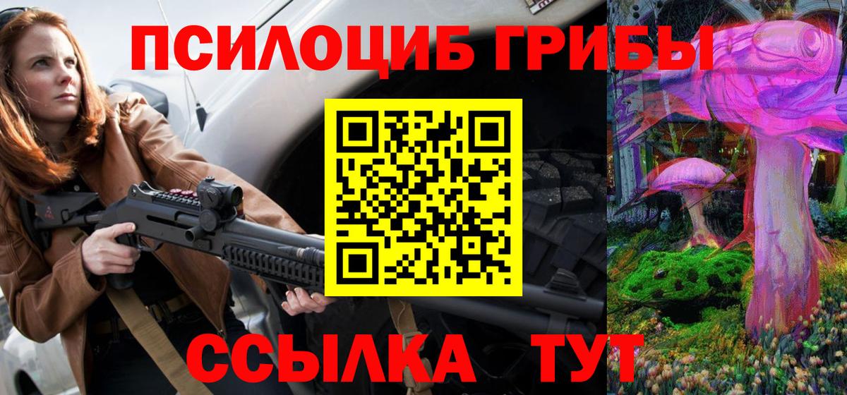 Галлюциногенные грибы мухоморы  купить  цена  Богданович  Вход с VPN 