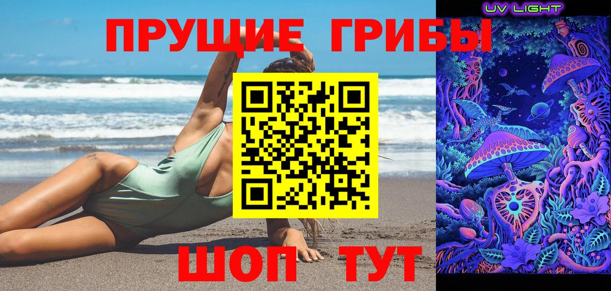 Псилоцибиновые грибы Psilocybe Богданович